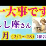 【獅子座の総合運】2025年2月1日から28日までのしし座の総合運。#獅子座 #しし座