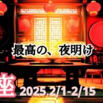 【2月前半 運勢 魚座】もう上がるだけ！幸せな出来事が押し寄せる！🌿🕊✨【うお座】【タロット】【開運】【占い】