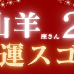 山羊座さん2月運勢♑️神神結果💝全ての山羊座さん必ず見てください🪽金運スゴイ✨仕事運🫧対人運🌟金運👼【#占い #やぎ座 #最新】