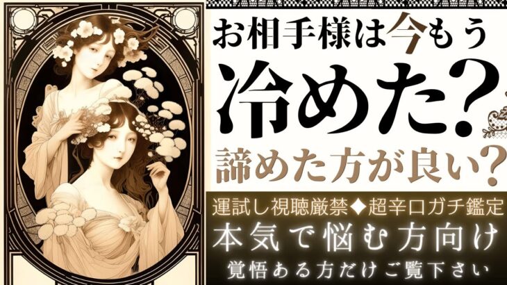 超辛口🌹♦︎このままサヨナラ？お相手様は冷めた？もう諦めた方が良い？【忖度一切なし♦︎有料鑑定級♦︎】先の見えない恋愛、復縁、音信不通