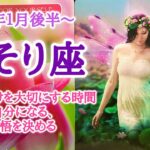 覚悟を決める🌹さそり座♏️２０２５年１月16〜31日頃まで