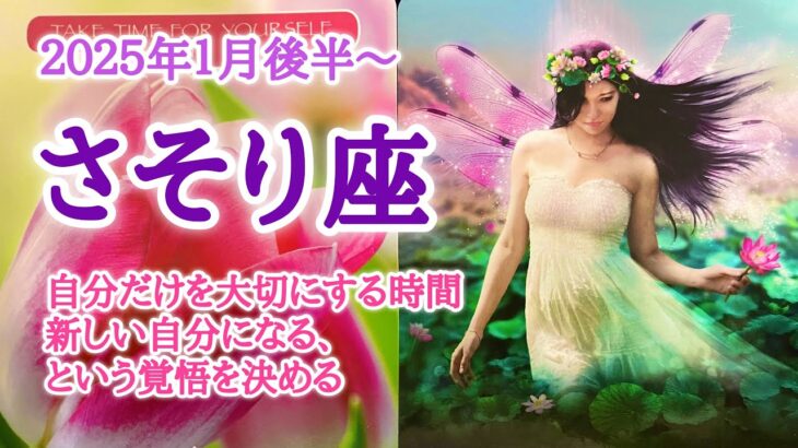 覚悟を決める🌹さそり座♏️２０２５年１月16〜31日頃まで