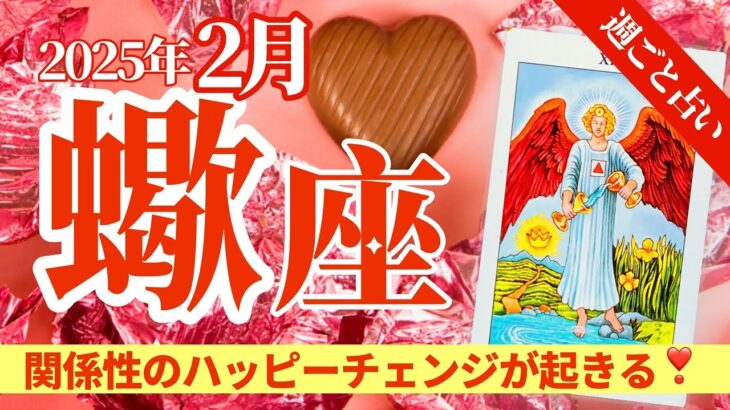 【蠍座2月】関係性のハッピーチェンジ❣️戦う価値のないものは何⁉️新しい交友関係への集中があなたを潤す🥰✨🔮🧚タロット&オラクル《週ごと》⭐️新企画アボリジニからのメッセージあり⭐️