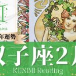 双子座♊2月運勢✨準備万端！あなたの努力が認められる🌟現状🌟仕事運🌟恋愛・結婚運🌟ラッキーカラー🌟開運アドバイス🌝月星座ふたご座さんも🌟タロットルノルマンオラクルカード