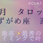 星座占い✨1月運勢【みずがめ座さん】タロット前向きリーディング‼︎本心に添って決めていく！自分に誠実に！正直に！