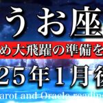 うお座♓︎2025年1月後半　じっくり温める時🪽翼を休め大飛躍の準備を始める🔥Pisces tarot reading