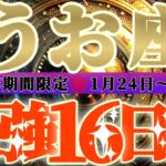 最強16日間【魚座♓️】これをやれば絶対に最強の運勢になるよ！！　逆にこれをやったら最悪になっちゃう事もリーディングするよ！！【初天一天上】神々のシナリオシリーズ　#タロット占い