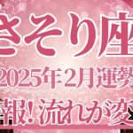 【さそり座】2月運勢　大吉報🌈運気好転、流れがガラッと変わります💪幸運の鍵は、あせらずゆっくり取り組むこと【蠍座 ２月】タロットリーディング