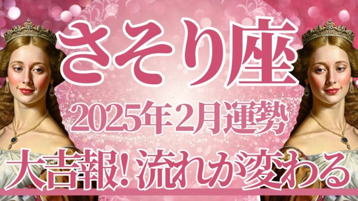 【さそり座】2月運勢　大吉報🌈運気好転、流れがガラッと変わります💪幸運の鍵は、あせらずゆっくり取り組むこと【蠍座 ２月】タロットリーディング