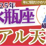 【水瓶座】2025年のみずがめ座運勢とタロットで見る1年の未来🔮輝く未来🚀へのガイド「リアル天国🌈」