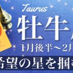 おうし座♉️2025年1月後半〜2月前半🌝希望はここにある、困難の終息、考え方のプログラムを再インストール、確かに変わる、前進