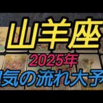 【山羊座 2025年運勢】これは…😳‼️新しい流れや分岐点が沢山きます✨✨自分を信じることで全て上手くいく👍💕❤️