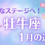 【牡牛座】♉️1月運勢🌟新たなステージへ進むとき✨堅実な一歩が幸運を引き寄せる🍀💼新たなチャンスを活かす鍵は「柔軟性」 【#おうし座 #1月運勢】タロット&星読みリーディング