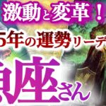 うお座  2025年運勢【大逆転！長かった修業が終了して表舞台に立つ】富と成功を引き寄せる年　　年間ざっくりリーディング　魚座　2025年　タロットリーディング