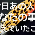 【タロット占い】今日あの人があなたの事で考えたことー４択ー