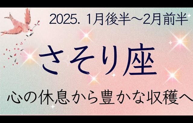 【蠍座】1月後半〜2月前半◆人間関係の苦しみを超えて新たなスタート！収穫、豊かさにつながる。オラクルカードリーディング さそり座