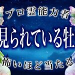 【牡牛座🔮1月の運勢】新たな出会いが待っている。霊視で判明した事実がヤバい…