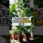 怖いほどお金を呼び込む観葉植物【5選】