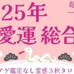 【見た時がタイミング🔔】25年の恋愛❤️総合運🌟ツインレイ/ソウルメイト/運命の相手/複雑恋愛/曖昧な関係/復縁/片思い/音信不通/ブロック/未既読スルー/好き避け/恋愛/結婚/占い/リーディング霊視