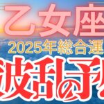 【乙女座】2025年総合運  おとめ座さん要注意！５月・７月・９月【大波乱の予感】の年