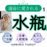 水瓶座１月後半🪽運が味方‼️荒波を乗り越えてきた水瓶座さんは、信念や真実の愛、大切な存在に気がつく時💖✨