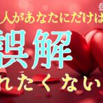 【真実はコレ…😭】あの人があなたにだけは誤解されたくない事❤️恋愛タロット