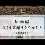 【牡牛座】2月運勢🌟最終調整の中で運命を感じる展開が！もはや周りを巻き込んでしまえ