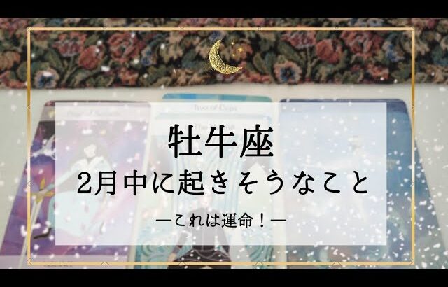 【牡牛座】2月運勢🌟最終調整の中で運命を感じる展開が！もはや周りを巻き込んでしまえ