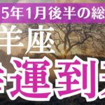 【2025年1月後半の山羊座の運勢】星とタロットで読み解く恋愛運・金運・健康運・仕事運