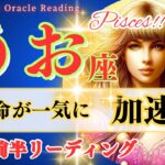 【魚座♓2025年2月前半運勢】運命が一気に加速！🌟『もういいや』が引き寄せる奇跡の大転換🌈Pisces February 2025🦄うお座 2025年2月運勢 タロットリーディング