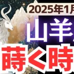 【山羊座】2025年1月後半やぎ座さん…土台を整え、種を蒔く重要なタイミング！未来を照らす光とは?!