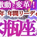 水瓶座  2025年運勢【手に入れる！幸せと喜びの新スタンダード】改善と進化の先にある大幸運　　年間ざっくりリーディング　みずがめ座　2025年　タロットリーディング