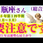 【水瓶座の総合運】2025年1月から3月までのみずがめ座の総合運。#水瓶座 #みずがめ座