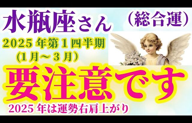 【水瓶座の総合運】2025年1月から3月までのみずがめ座の総合運。#水瓶座 #みずがめ座