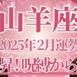 【やぎ座】2月運勢　必見👀山羊座さんの流れ…急上昇で好転です⚡呪縛から解放、過去の清算が起こるとき🌈幸運の鍵は、感謝の気持ちを大切に【山羊座 ２月】タロットリーディング