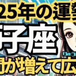 【2025年の保存版】♌️獅子座♌️今年の運勢❣️仲間がたくさん増えて、そして広がっていく。西洋占星術