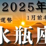 ❤️🕊️【みずがめ座♒】🌄《2025年総合運》《2025年1月前半運勢》🌱2025年12星座別🔮水瓶座運勢✨♠ルノルマンカードグランタブロー♠タロットカード・オラクルカードでもみていきましょう🔮