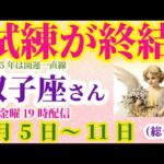 【双子座】2025年1月5日～11日ふたご座 #双子座 #ふたご座