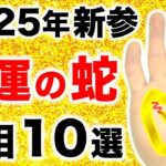 【手相】２０２５年に大逆転！幸運の蛇手相１０選【辛さを幸せに変える巳】