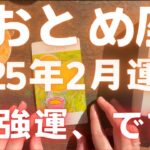 【おとめ座 2025年2月運勢】最強運、でた🌅✨🫶