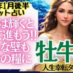 【♉牡牛座さん💖2025年1月後半運勢】〈未来を信じて動いてください！どんな困難も必ず乗り越えていけます！〉 人生幸転タロットリーディング 占い おうし座 太陽星座・月星座