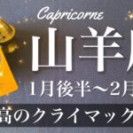 やぎ座♑️2025年1月後半〜2月前半🌝 加速！変わり出す時間の流れ！クライマックスがやって来る、本番はここから、自信を持って一歩ずつ