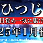 おひつじ座♈︎2025年1月後半 期待が消えゾーン突入🔥強さが目覚め一気に駆け抜ける🐎　Aries tarot  reading