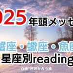 ♋蟹座♏蠍座♓魚座★2025年へのメッセージ　※タイムスタンプから各星座へ飛んでください。