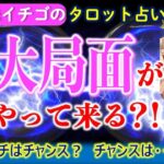 ★忖度なしタロット占い★このあとあなたにやってくる重大局面★占い芸人★