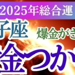 【双子座】2025年ふたご座の運勢を徹底解説！ふたご座の星とタロットが描く未来の希望とは？