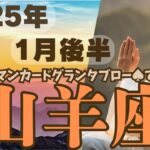 ❤️🕊️【やぎ座♑さん】🌄《1月16日～1月31日》1月後半リーディング💐2025年12星座別🔮山羊座運勢✨♠ルノルマンカードグランタブロー♠タロットカード・オラクルカードでもみていきましょう🔮