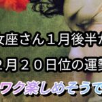 「乙女座さん」１月後半から２月２０日位の運勢♪とてもリーダシップがあって信頼される時です♪