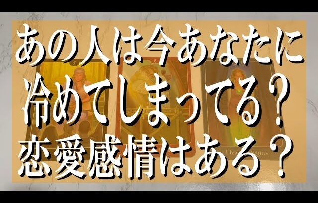 【厳しめもある辛口鑑定】あの人は今あなたに冷めてしまってる？恋愛感情はあるのか？