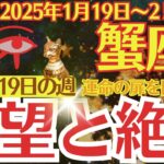 【蟹座】2025年1月19日(日)～1月25日(土)のかに座の運勢